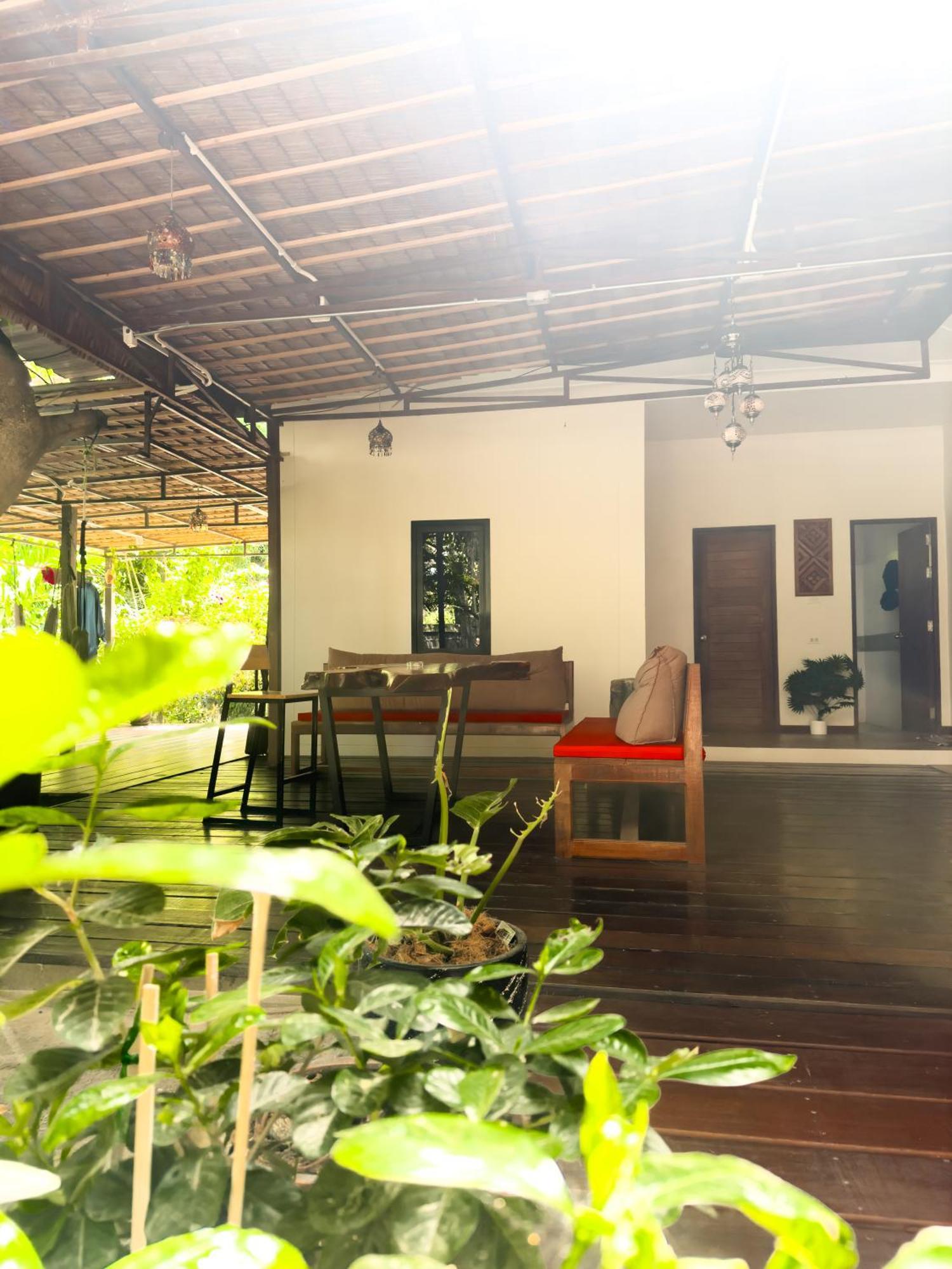 Jungle Vibes Hotel Thongsala Exterior photo
